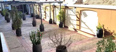 a courtyard with potted plants and a building at Apartamento Jilguero con parking individual privado in Sanlúcar de Barrameda