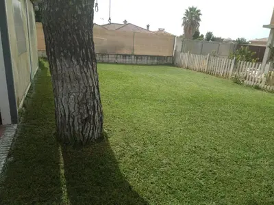 a tree in a yard next to a fence at Almajar 4 in El Puerto de Santa María