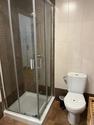 a bathroom with a shower and a toilet at Gades de la Caleta con Terraza Grupo AC Gestion in Cádiz