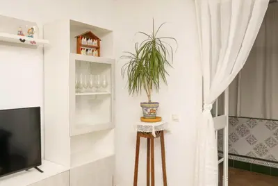 a plant on a stool in a room with a television at Villa Lola in Cádiz