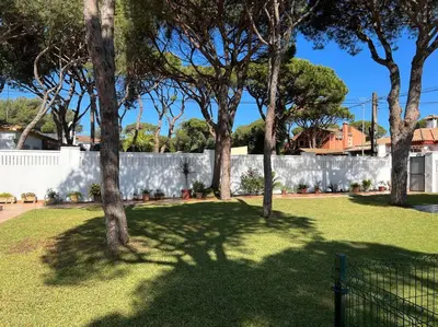 a group of trees in a yard with a fence at Chalet Urb Doña Violeta 500m Mar in Chiclana de la Frontera