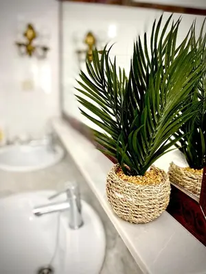a bathroom with two potted plants on a counter at Casa Castelar in Rota