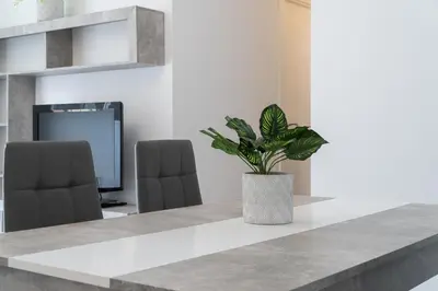 a potted plant sitting on a table in a room at Apartoyou - Pinar Lux in El Puerto de Santa María