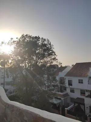 a tree on top of a wall with buildings at APARTAMENTO SEGUNDA PLANTA in Chiclana de la Frontera
