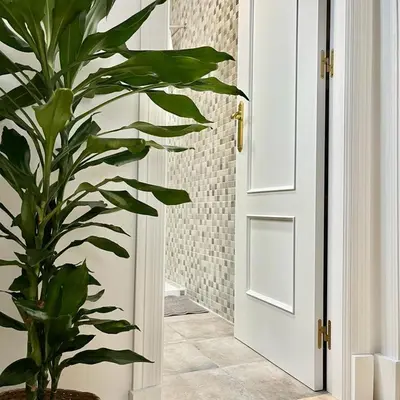 a plant in a hallway next to a door at Apartamento las tres lunas in Sanlúcar de Barrameda