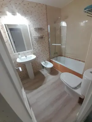 a bathroom with a toilet and a sink and a shower at Apartamento Marisma del Guadalquivir in Sanlúcar de Barrameda