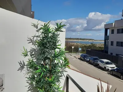 a plant is growing on the side of a building at Apartamento Marisma del Guadalquivir in Sanlúcar de Barrameda