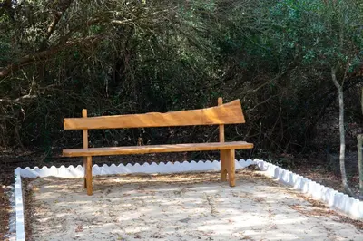 a wooden bench sitting in front of a tree at Casa Caramelo in Medina Sidonia