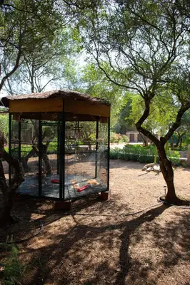 a gazebo in a park with a tree at Casa Caramelo in Medina Sidonia