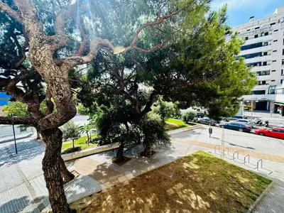 a tree in a park next to a street at Avenida Portugal con Ascensor Grupo AC Gestión in Cádiz
