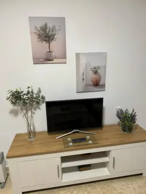 a tv on top of a white cabinet with plants at Avenida Portugal con Ascensor Grupo AC Gestión in Cádiz