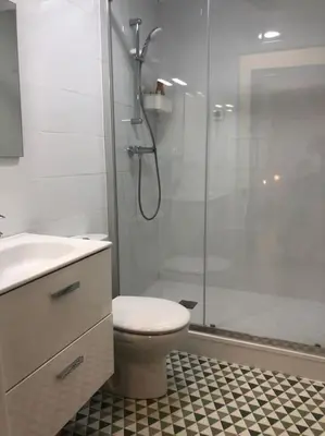a bathroom with a shower and a toilet and a sink at Apartamento en Plaza Plateros in Jerez de la Frontera