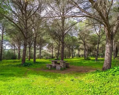 a picnic table in the middle of a park with trees at Casa Campiña Jerezana in Torrecera