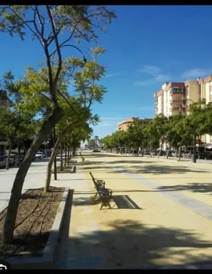 a park with a bench and trees on a sidewalk at Apartamento Plaza Calzada 1 in Sanlúcar de Barrameda