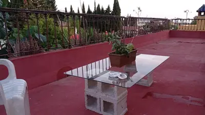 a potted plant sitting on a table on a patio at El Amanecer in El Puerto de Santa María