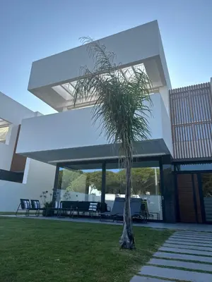 a palm tree in front of a building at VILLA SARAH Barrosa Playa in Chiclana de la Frontera