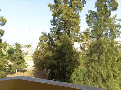 a view of trees from a balcony at 2 dormitorios y muy fácil aparcamiento in Jerez de la Frontera