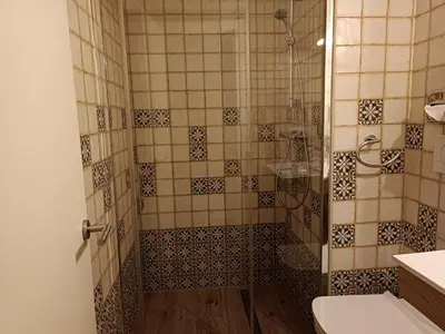a bathroom with a shower with a toilet and a sink at Apartamento interior en Rosario in Cádiz