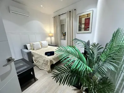 a living room with a couch and a plant at Apartamento Nebro Luna, En el Corazón de Cádiz in Cádiz