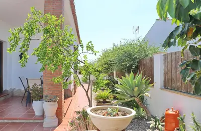 a garden with potted plants and a fence at Chalet Arroyo in Conil de la Frontera