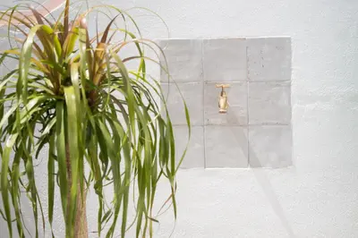 a plant in front of a wall with a lightswitch at Ático con terraza La Venencia in Sanlúcar de Barrameda