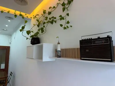 a kitchen with a plant on a white wall at Salmedina in Sanlúcar de Barrameda