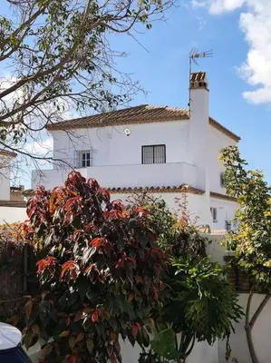 a white building with a tree in front of it at APOLO in Chiclana de la Frontera