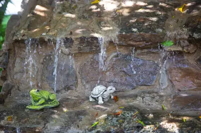 a frog and a stuffed animal sitting next to a waterfall at CASA CHOCOLATE in Malcocinado