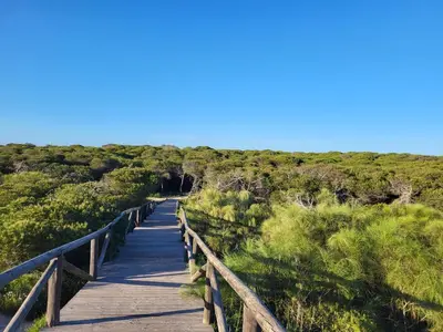 a wooden boardwalk leading down to the beach at ÁTICOS ROTA Punta Candor in Rota