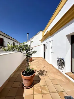 a potted plant sitting on the side of a building at Ático céntrico con terraza privada y plaza de garaje in Sanlúcar de Barrameda