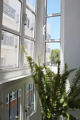 a plant in a vase in a room with windows at Enjoy the historic center of Chiclana By C. Dreams in Chiclana de la Frontera
