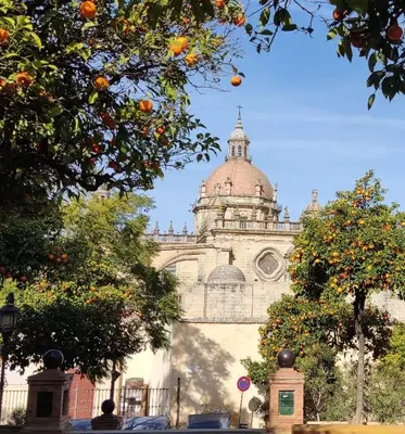 a building with an orange tree in front of it at Porvenir centro in Jerez de la Frontera