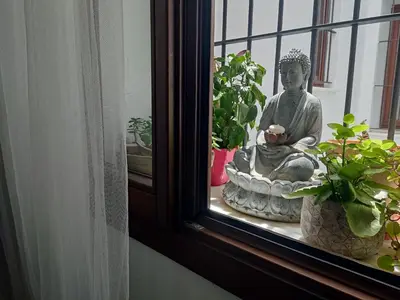 a statue sitting in a window next to some plants at Porvenir centro in Jerez de la Frontera