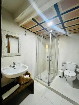 a bathroom with a shower and a sink and a toilet at La Botica Grupo AC Gestion in Cádiz