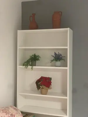 a white book shelf with plants and vases on it at Casa Murillo in El Puerto de Santa María
