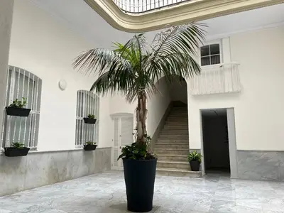a palm tree in front of a building with stairs at Casa Manuel de Falla by Cadiz4Rentals in Cádiz