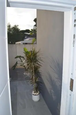 an open door with two potted plants on a patio at Villa Cristal in Chiclana de la Frontera