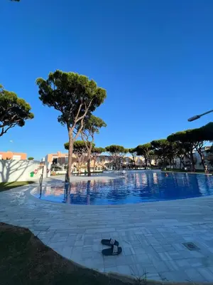 a park with a tree and a pool at Apartamento de Reme Playa de la Barrosa in Chiclana de la Frontera