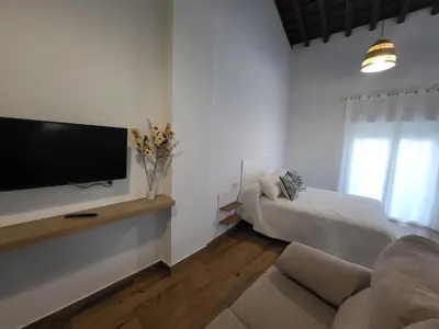 a living room with a television and a couch at Apartamento La Albariza in Jerez de la Frontera