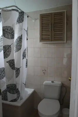 a bathroom with a toilet and a shower curtain at Alojamiento Teja in Arcos de la Frontera