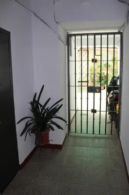 a door to a room with a potted plant at Alojamiento Teja in Arcos de la Frontera
