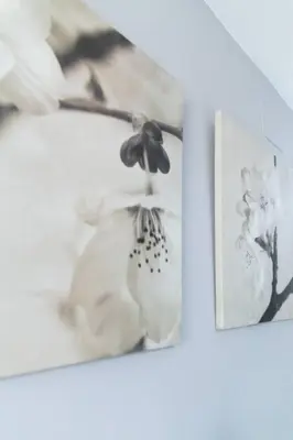 a mirror with a picture of a flower on it at Pasquín in Cádiz