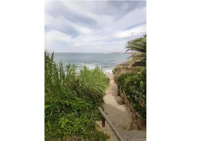 a path to the beach with palm trees and the ocean at Casita Playa Conil in Conil de la Frontera