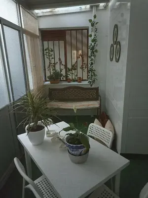 a table with three potted plants on top of it at Piso vacacional en Sanlúcar in Sanlúcar de Barrameda