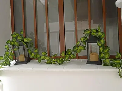 a window sill with three candles and green plants at Piso vacacional en Sanlúcar in Sanlúcar de Barrameda