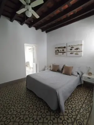 a bedroom with a bed and a ceiling fan at Apartamentos Casa Vicario in Jerez de la Frontera