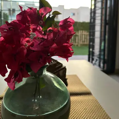 a vase filled with red flowers sitting on a table at Costa Ballena Mar Abierto in Costa Ballena
