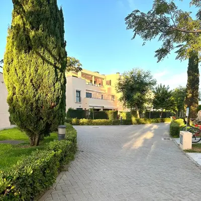 a brick driveway with a tree and a building at Costa Ballena Mar Abierto in Costa Ballena