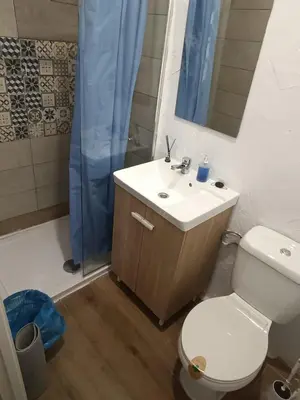 a bathroom with a toilet and a sink and a shower at Apartamentos La Campana 1 in Jerez de la Frontera