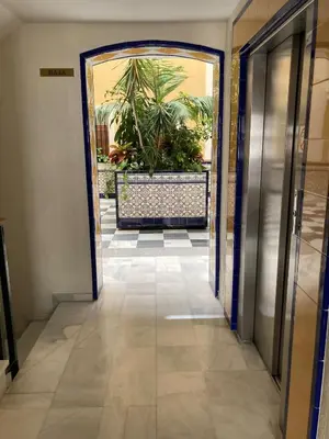 an open door to a hallway with a plant at Apartamento Plata Real in Sanlúcar de Barrameda